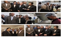افتتاح واحد فرآورده‌های گوشتی بیستون با حضور استاندار کرمانشاه و مدیرکل صمت در هفته دولت