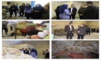 بازدید رئیس مرکز ملی فرش ایران از کارگاه تولید پشم سنقر؛ تأکید بر ظرفیتهای پشم سنجابی و توان قالیبافان کرمانشاه در توسعه فرش دستباف
